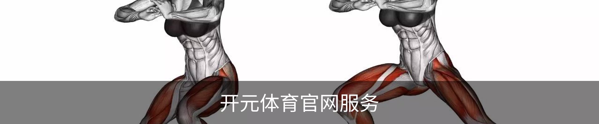 开元体育官网服务